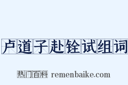 卢道子赴铨试组词是什么意思的图片